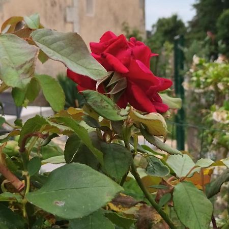 Gite Aux Vieux Bois Lunas  Exteriér fotografie