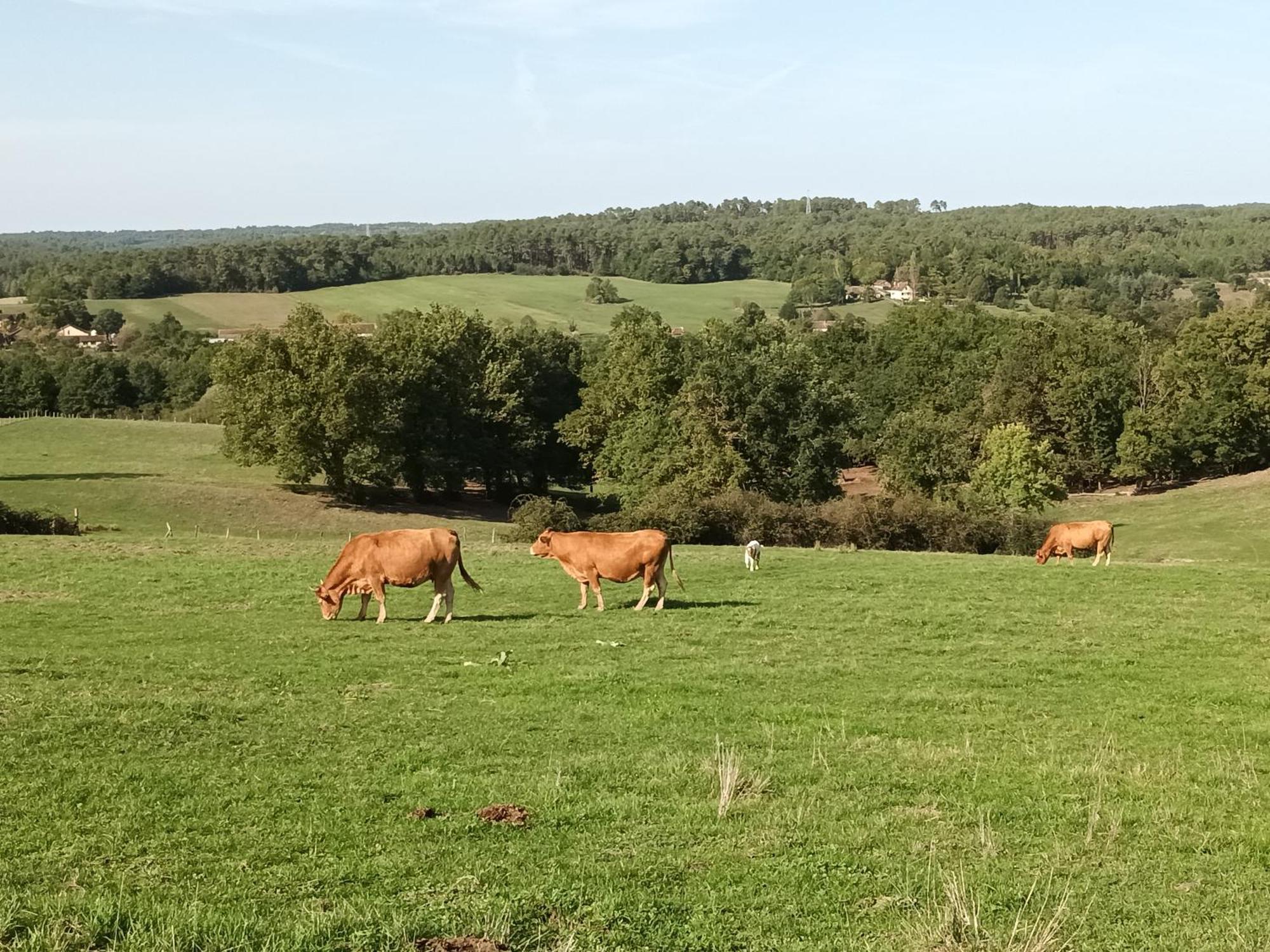 Gite Aux Vieux Bois Lunas  Exteriér fotografie