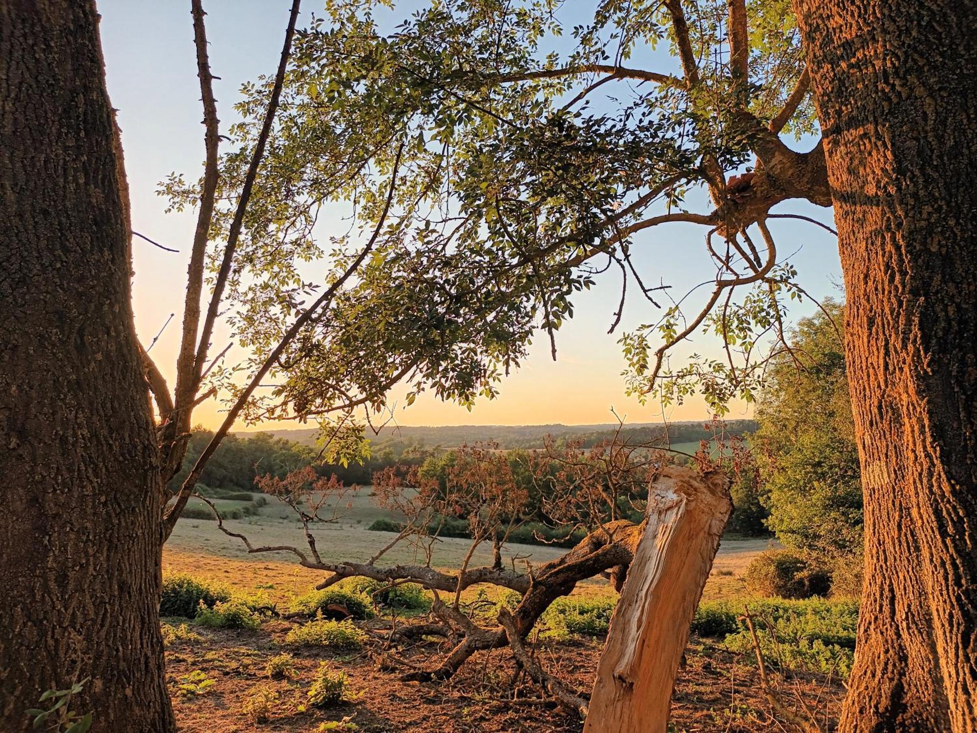 Gite Aux Vieux Bois Lunas  Exteriér fotografie
